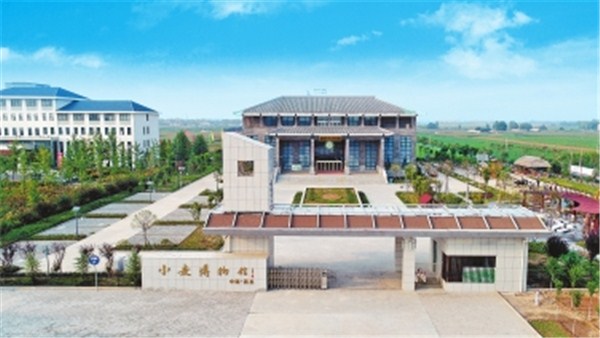 稻花香里說豐年丨溫縣小麥博物館：小麥萬(wàn)年傳耕耘天地間