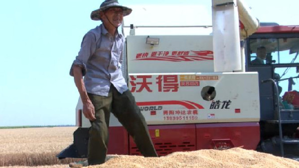 河南麥收新圖景丨保證小麥顆粒歸倉，舞陽提供暖心服務